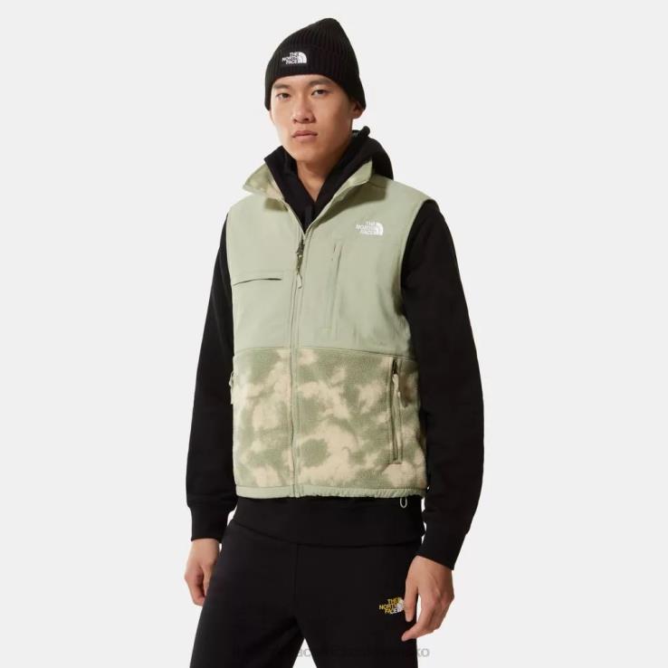 HLH081453 štrkové retro The North Face muži vytlačené denali gilet