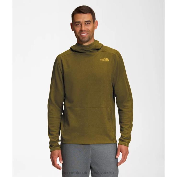 HLH084399 minerálne zlato The North Face pánska mikina s kapucňou strednej hmotnosti z veľkej borovice