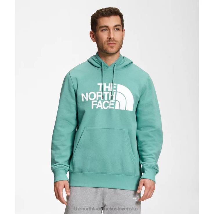 HLH085370 wasabi The North Face pánska mikina s kapucňou