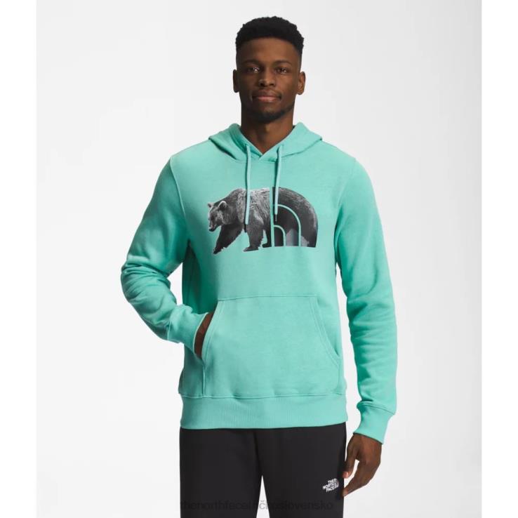 HLH085378 wasabi The North Face pánska mikina s kapucňou tnf medveď