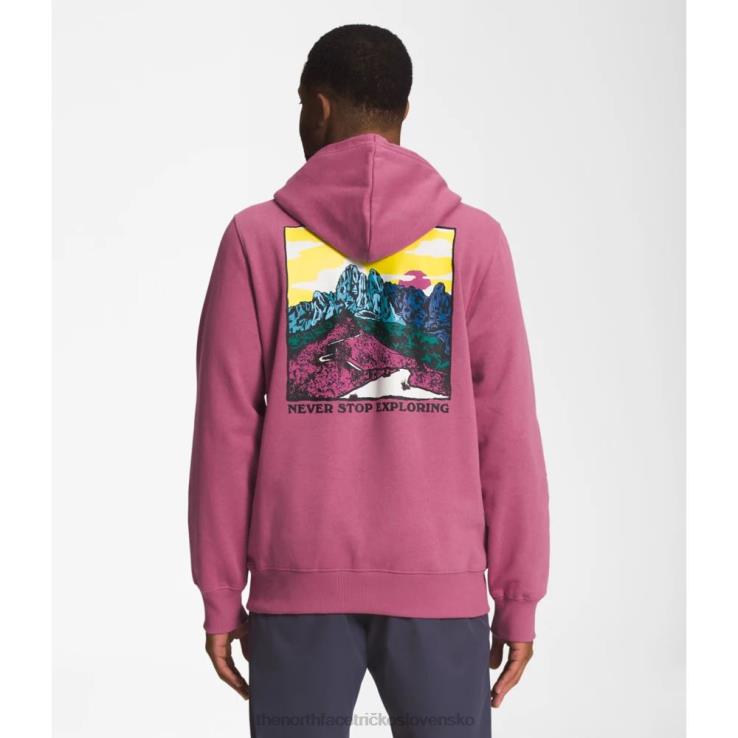 HLH085416 červená fialová The North Face pánska mikina s kapucňou s grafickým vstrekovaním