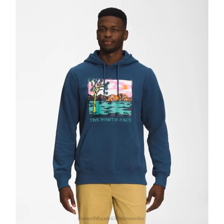 HLH085419 tienisté modré The North Face pánska mikina s kapucňou s grafickým vstrekovaním