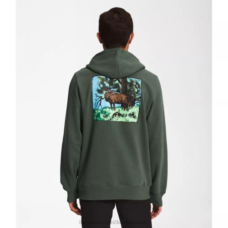 HLH085423 tymián The North Face pánska mikina s kapucňou s grafickým vstrekovaním