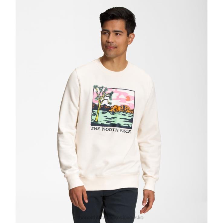 HLH085424 biely The North Face muži grafická vstrekovacia posádka