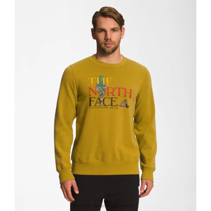 HLH085425 minerálne zlato The North Face muži grafická vstrekovacia posádka