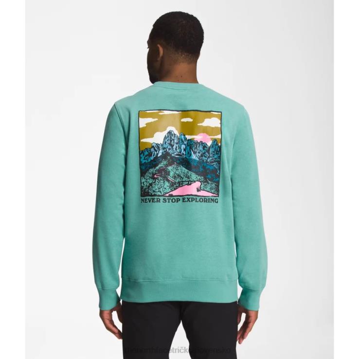 HLH085427 wasabi The North Face muži grafická vstrekovacia posádka