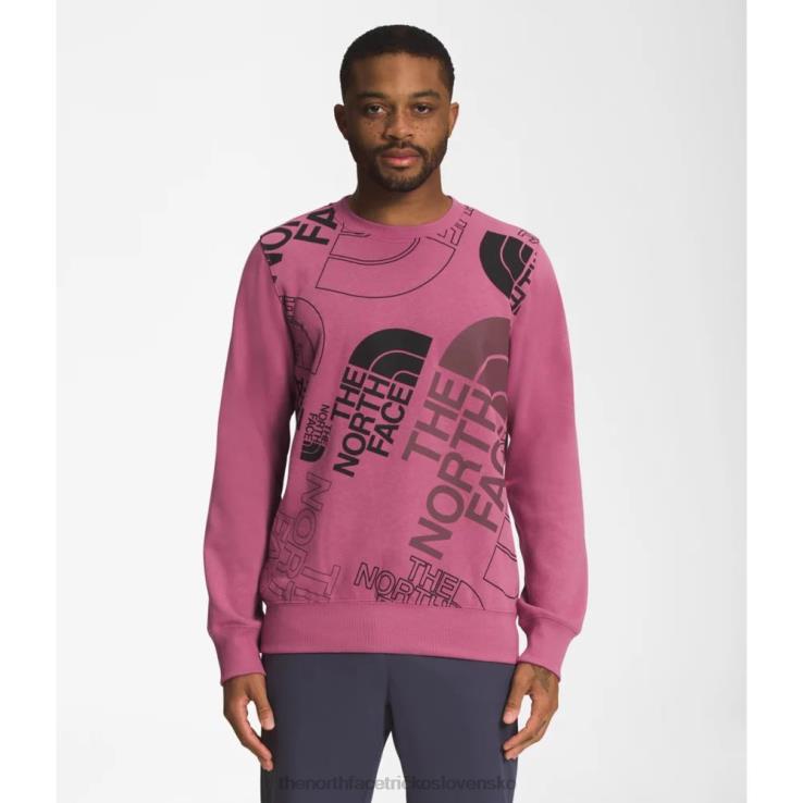 HLH085428 červená fialová The North Face muži grafická vstrekovacia posádka