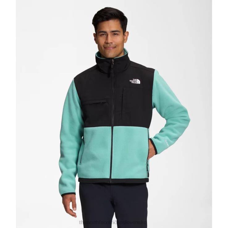 HLH085590 wasabi The North Face pánska denali bunda nová