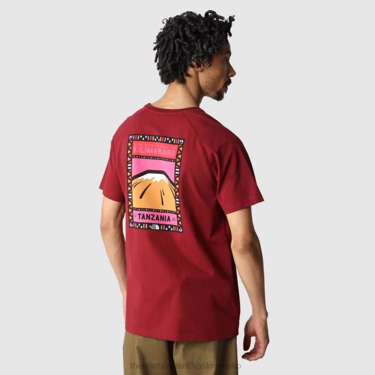 HLH082378 cordovan The North Face pánske tričko severnej tváre