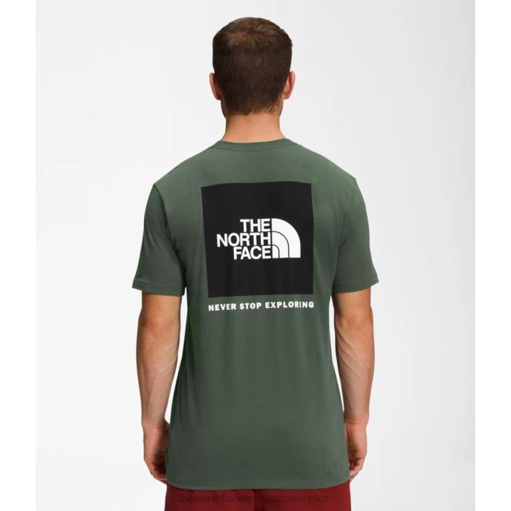 HLH083383 tymiánovo-čierna The North Face pánske tričko s krátkym rukávom nse tymiánové čierne