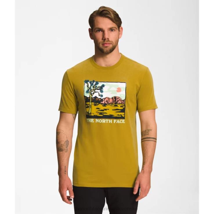 HLH085450 minerálne zlato The North Face pánske tričko s krátkym rukávom s grafickým vstrekovaním