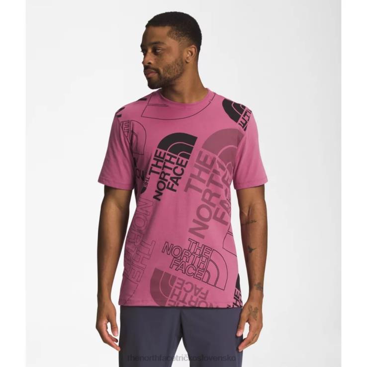 HLH085451 červená fialová The North Face pánske tričko s krátkym rukávom s grafickým vstrekovaním