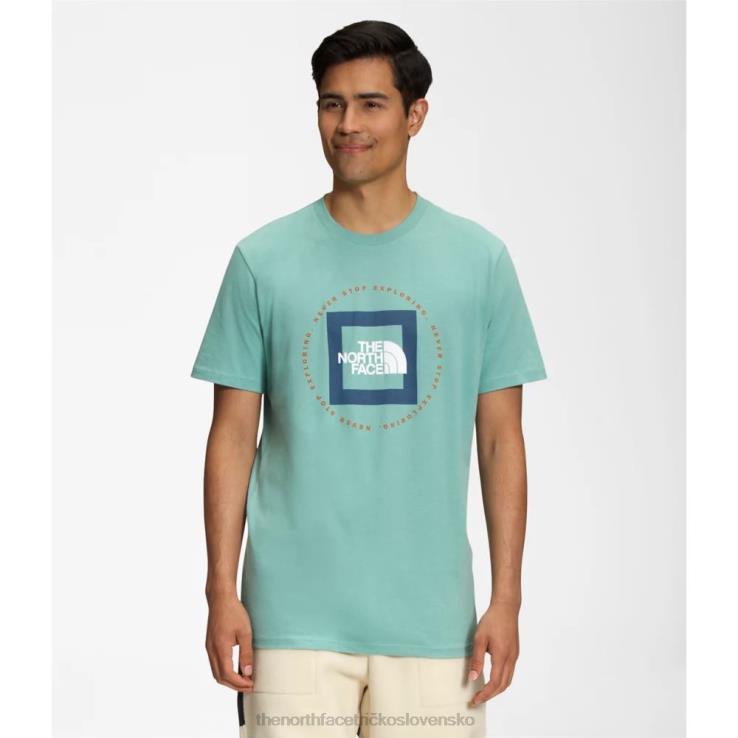 HLH085456 wasabi The North Face pánske tričko geo nse s krátkym rukávom