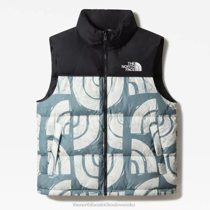 HLH081260 modrý drevený blok The North Face pánska potlač 1996 retro nuptse páperová vesta
