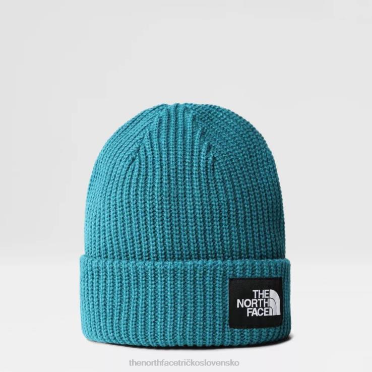 HLH08103 prístavná modrá The North Face slaná čiapka pre psa