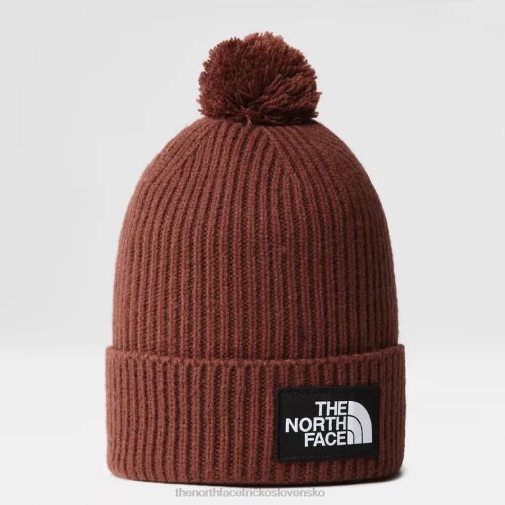 HLH08123 tmavý dub The North Face tnf logo box pom čapica