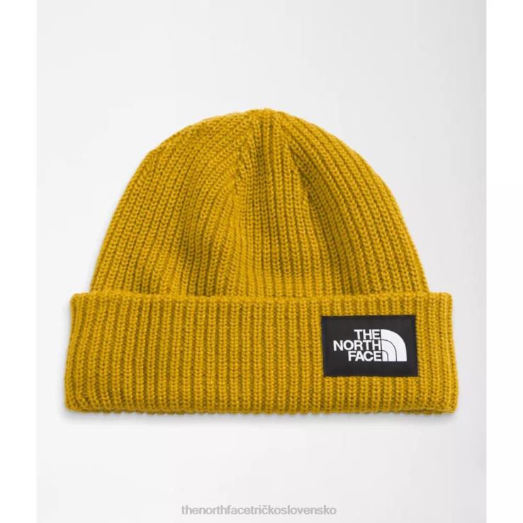 HLH083213 minerálne zlato The North Face slaná čiapka pre psa