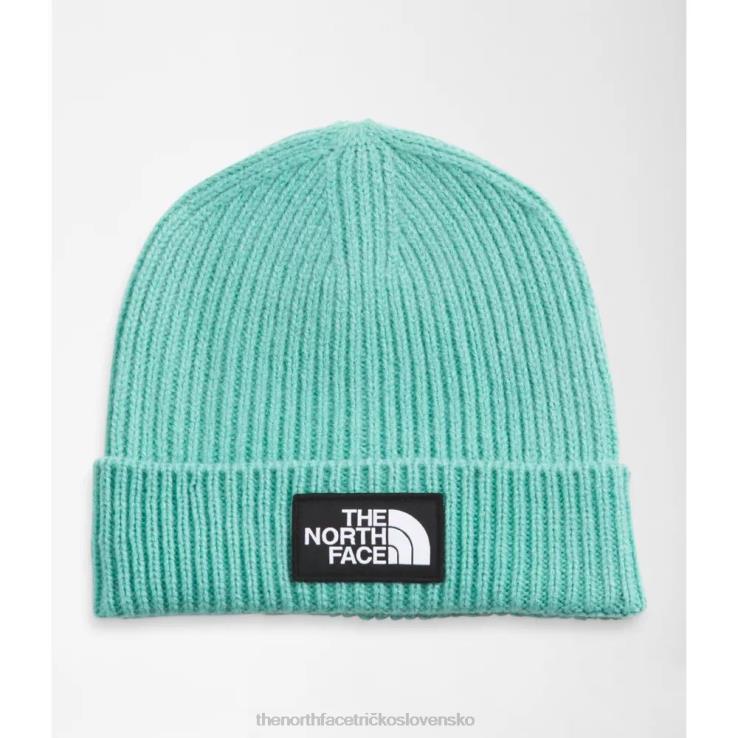 HLH083221 wasabi The North Face Čiapka s manžetou na krabičke s logom tnf