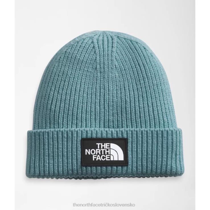 HLH083224 Modrá The North Face Čiapka s manžetou na krabičke s logom tnf