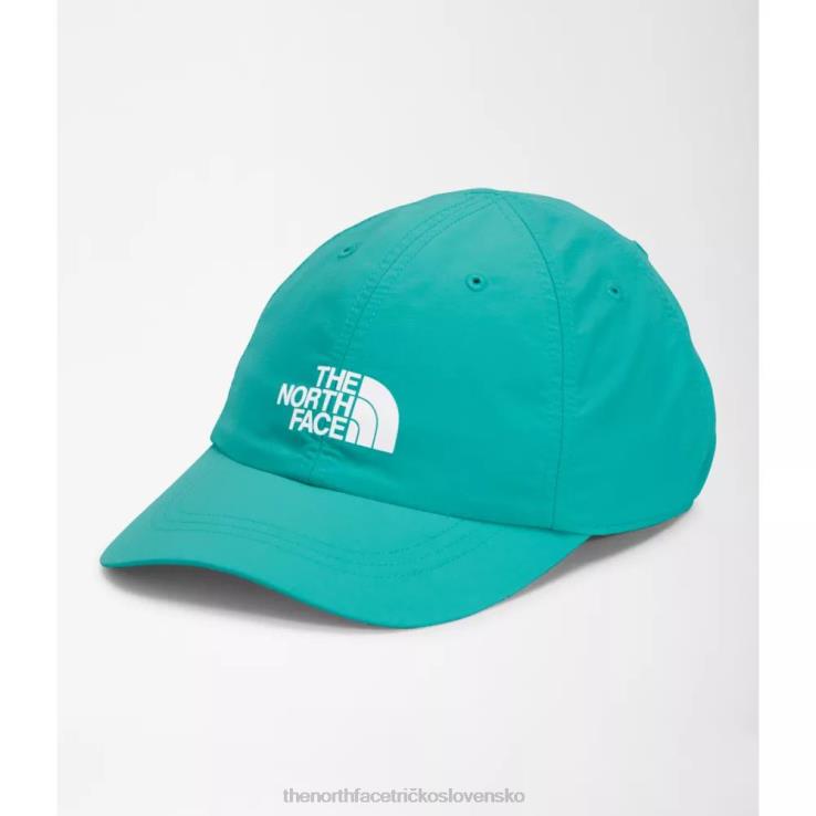 HLH083981 porcelánovo zelená The North Face horizont klobúk