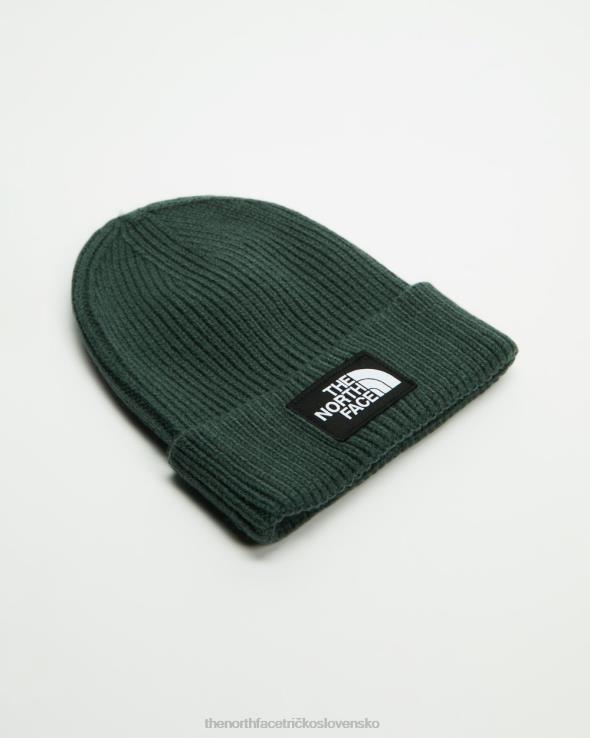 HLH087197 tmavo šalvia zelená The North Face Čiapka s manžetou na logo box