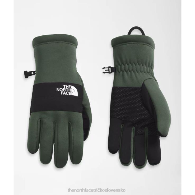 HLH085130 tymián The North Face pánske rukavice sierra etip