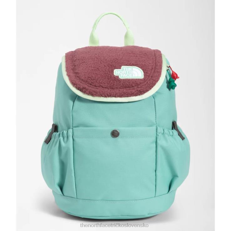 HLH083710 wasabi The North Face mládežnícky mini prieskumník batoh