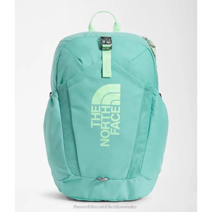 HLH083715 wasabi The North Face mládežnícky mini prieskumný batoh
