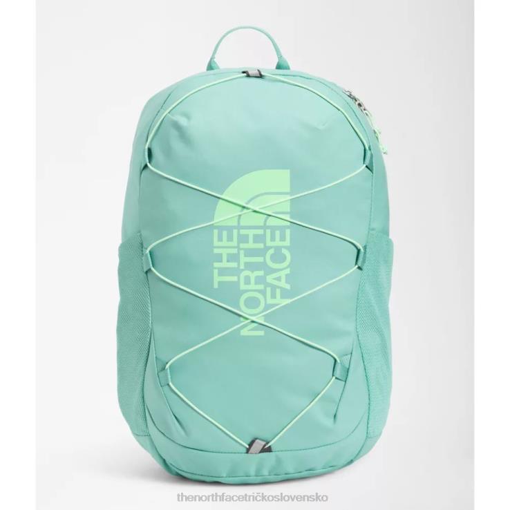HLH083719 wasabi The North Face mládežnícky dvorný šašo batoh