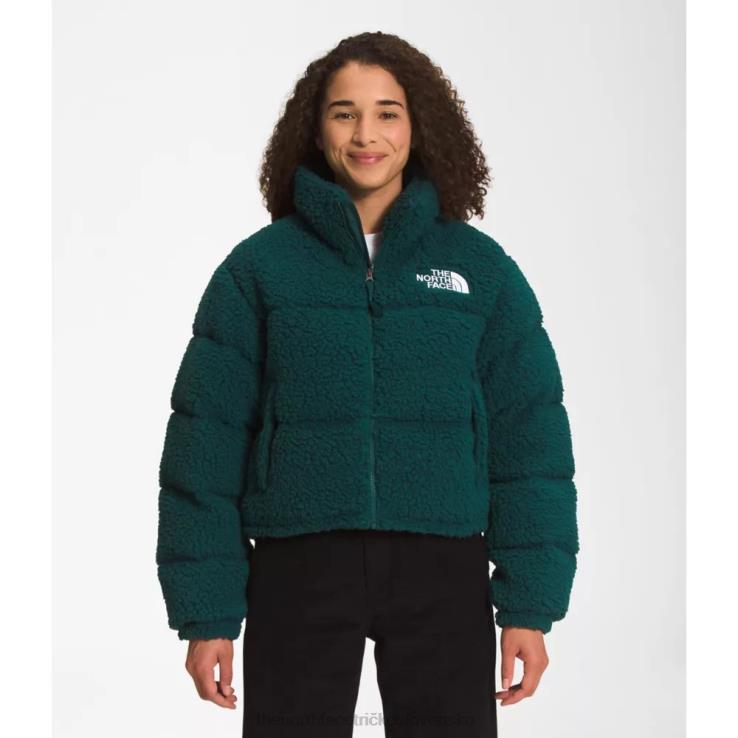 HLH086066 zelená The North Face dámska nuptse bunda s vysokým vlasom
