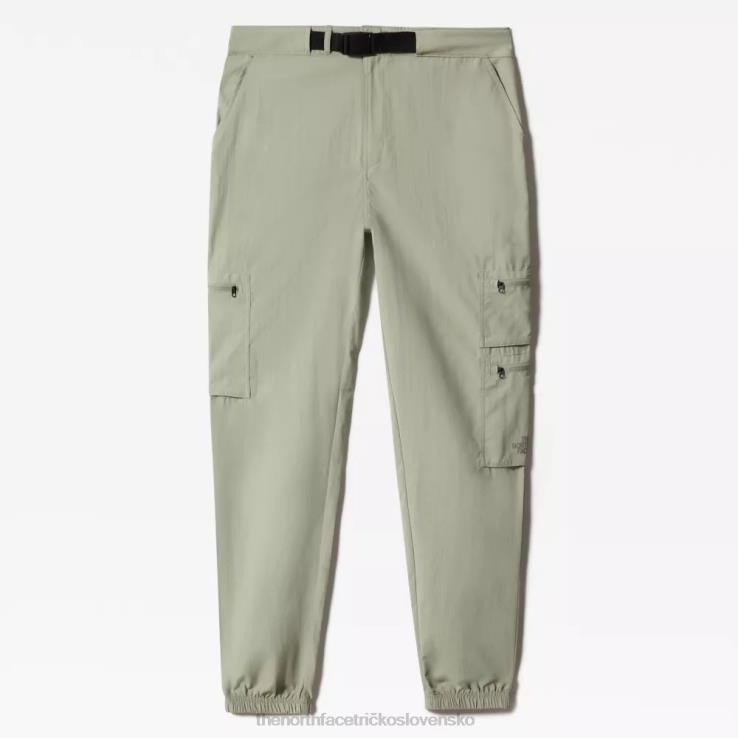 HLH081129 zelený čaj The North Face dámske nákladné nohavice