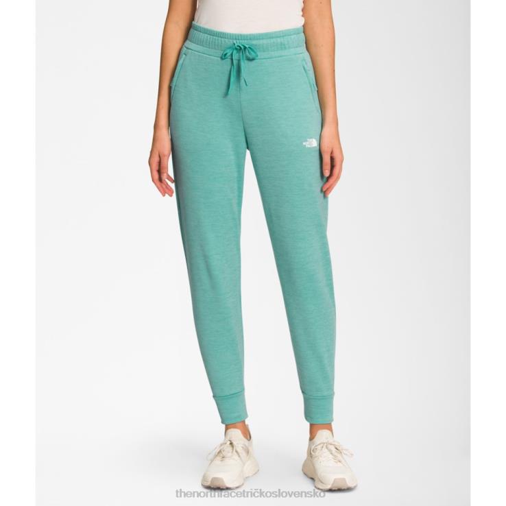 HLH084109 umývadlo modrá The North Face ženy canyonlands joggers