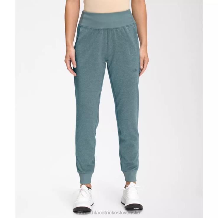 HLH085036 modrý vres The North Face ženy dune sky joggers