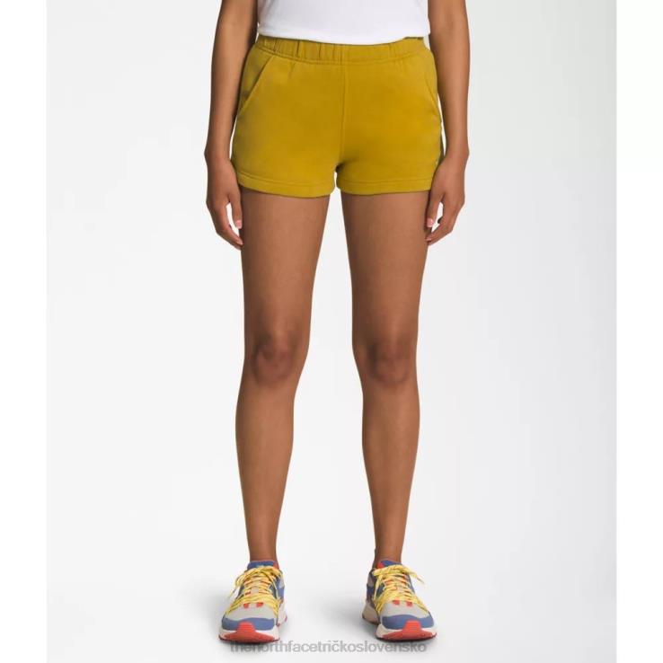 HLH083806 minerálne zlato The North Face dámske šortky s logom polovičnej kopule