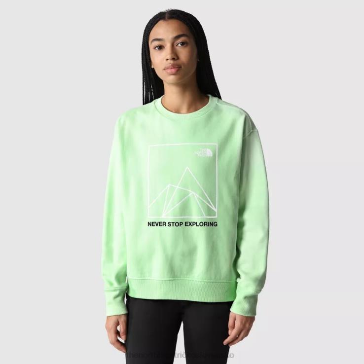 HLH081915 patinovaná zelená The North Face ženy koordinuje sveter