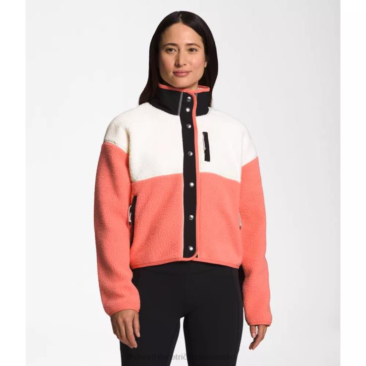 HLH083865 lesklý mesačný svit The North Face dámska fleecová bunda Cragmont